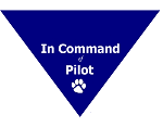 In Command of Pilot Bandana